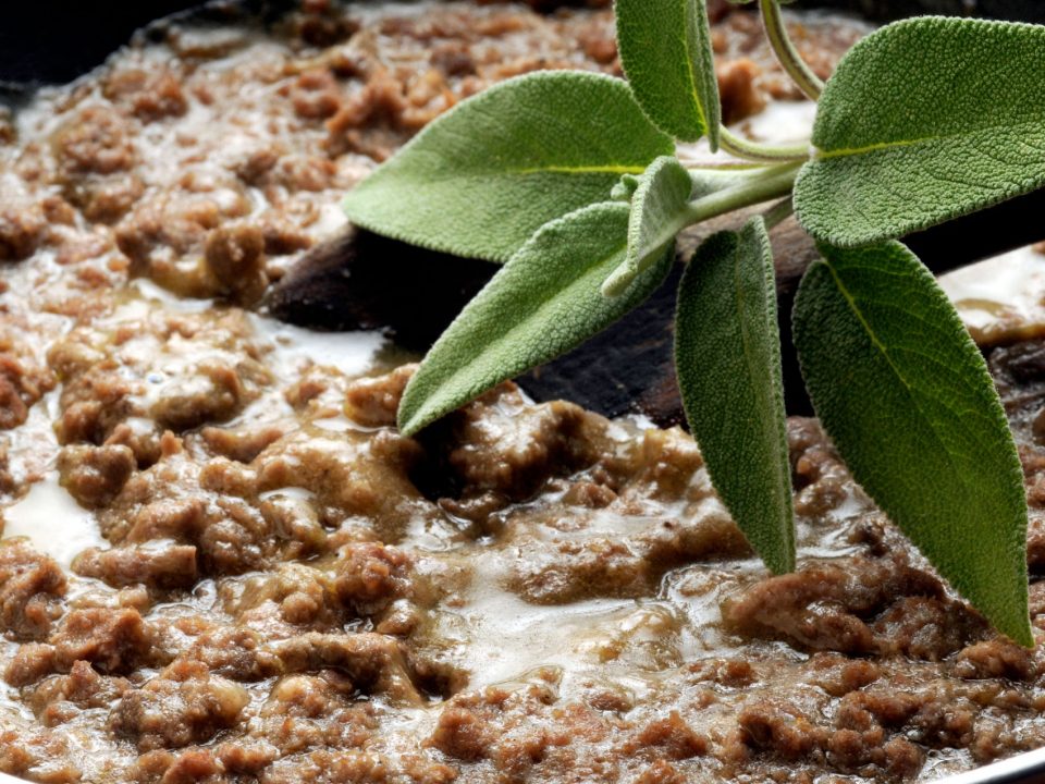 Ragu di Cinghiale - Sandàra
